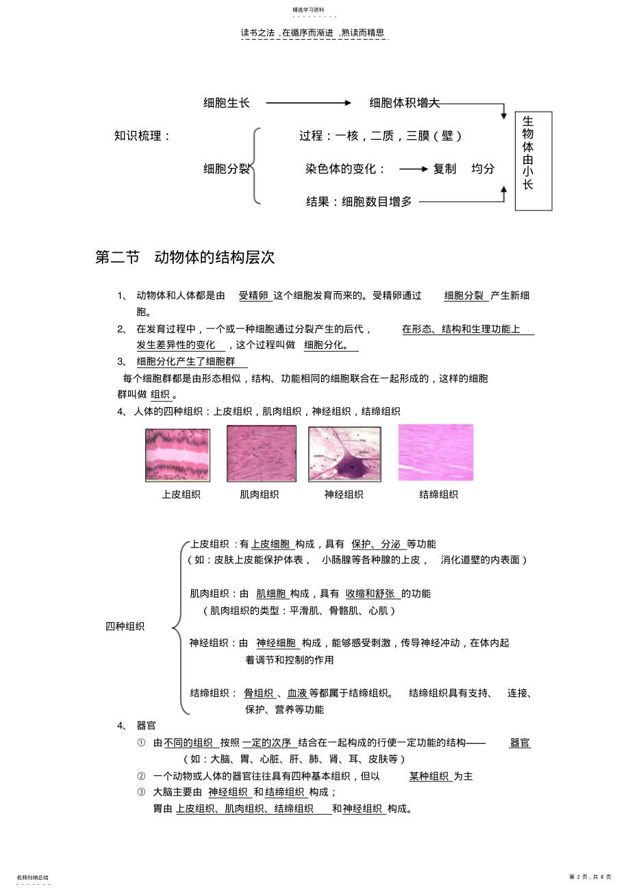 2022年细胞怎样构成生物体复习知识点 .pdf_第2页