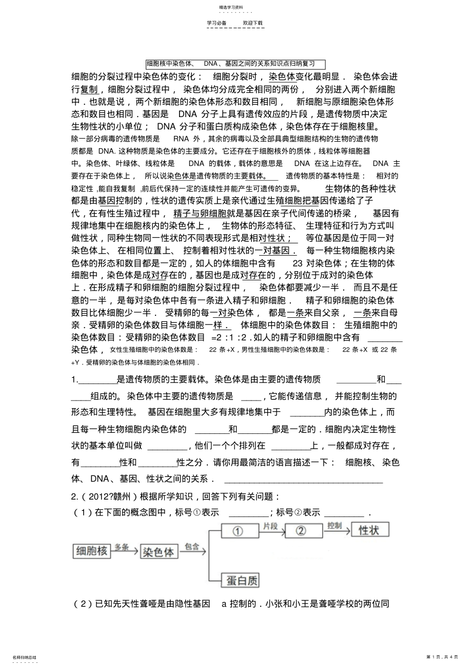 2022年细胞核中染色体DNA基因之间的关系知识点 .pdf_第1页