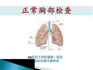 诊断学教学ppt课件-胸部查体.ppt