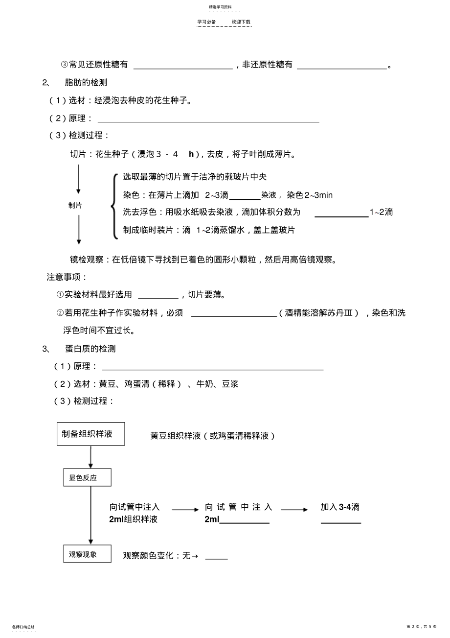 2022年导学案检测生物组织中的糖类脂肪和蛋白质 .pdf_第2页