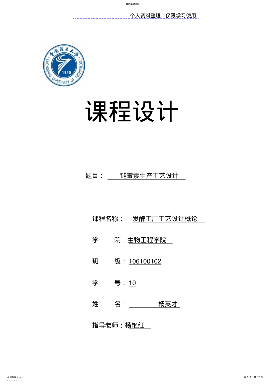 2022年链霉素生产工艺方案说明书模板 .pdf_第1页