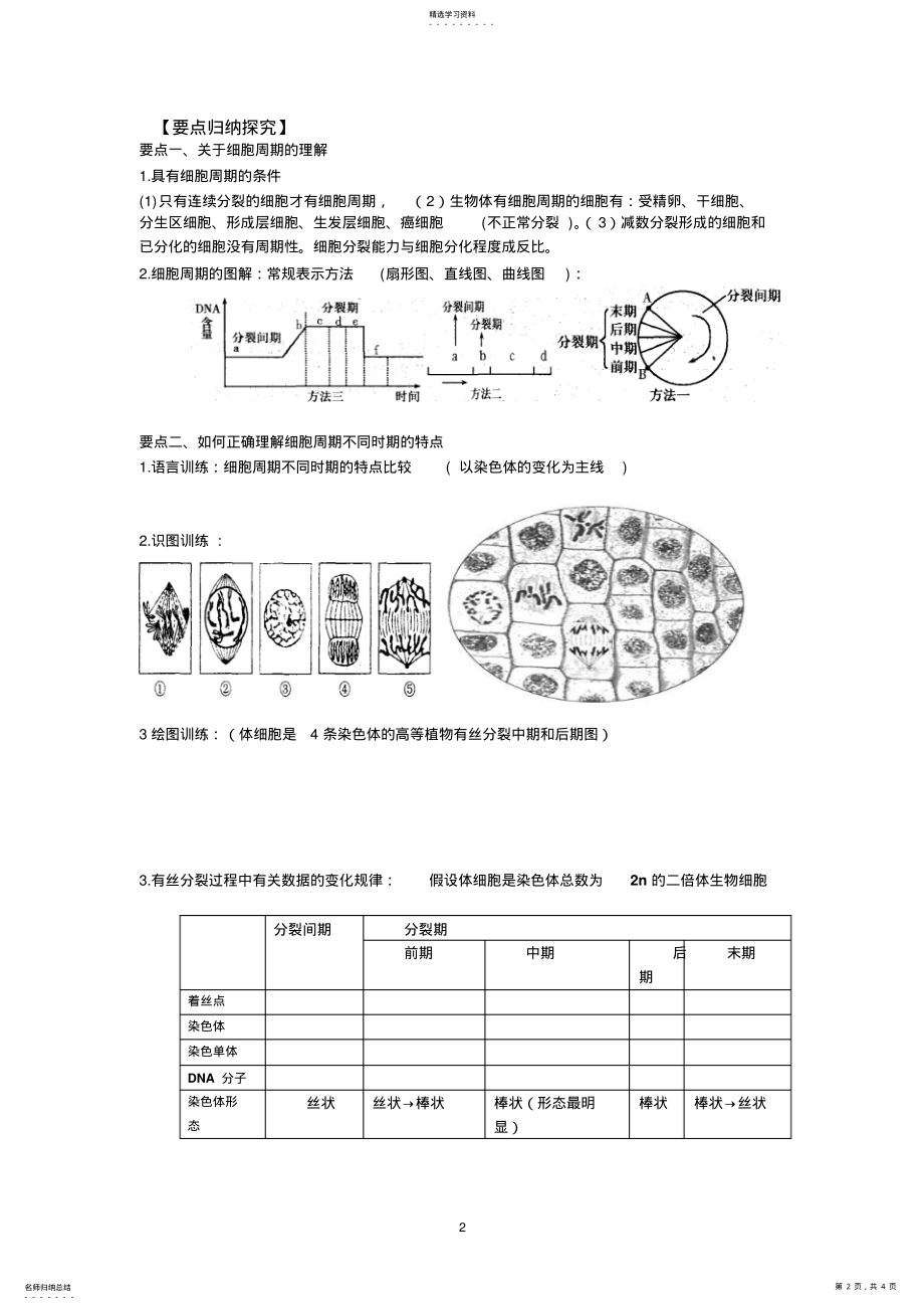 2022年细胞的增殖 .pdf_第2页