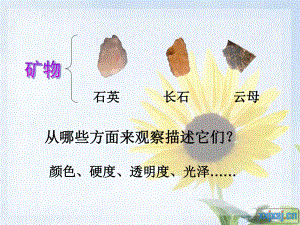 观察描述矿物(一)ppt课件.ppt