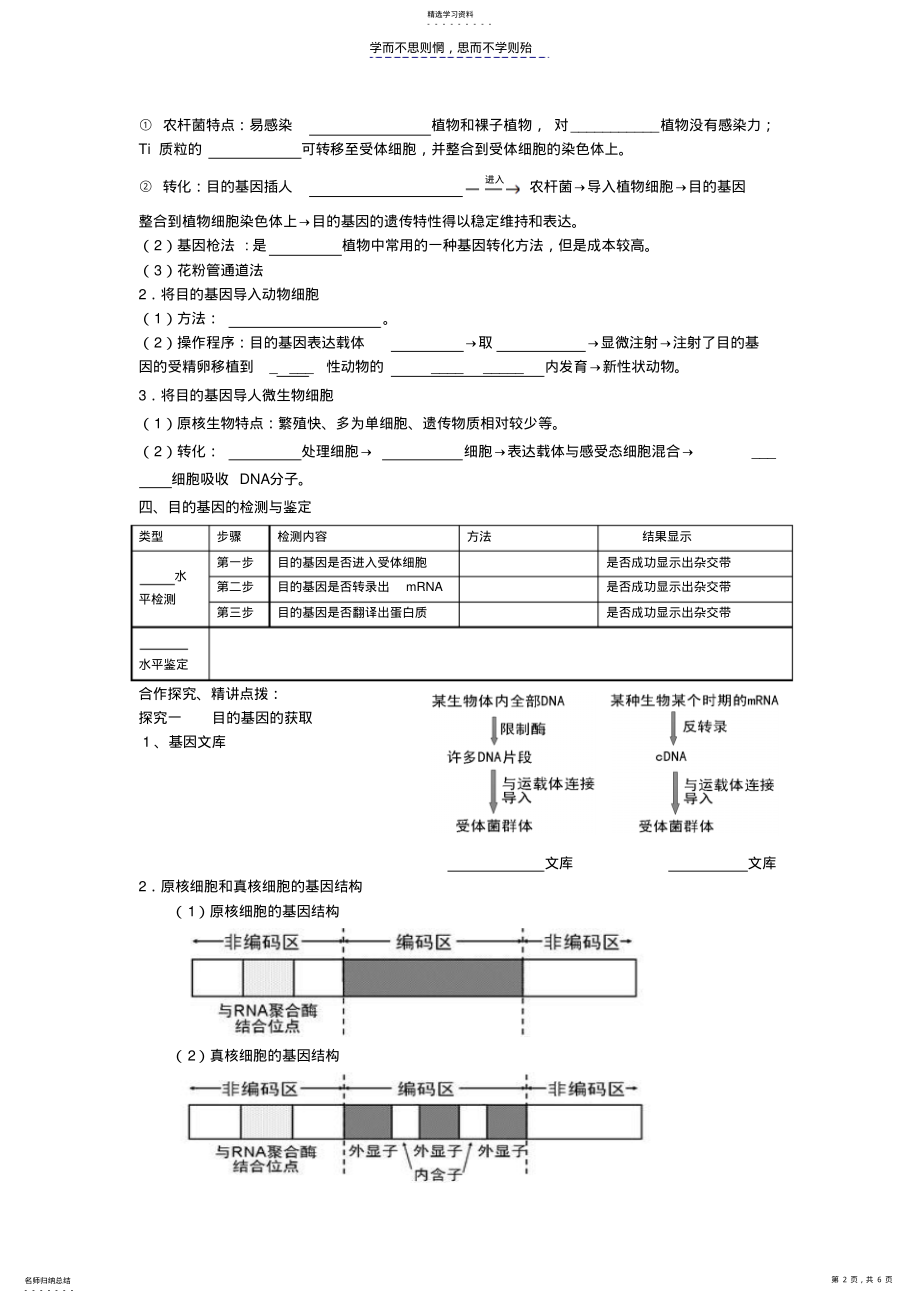 2022年基因工程的基本操作程序学案 .pdf_第2页