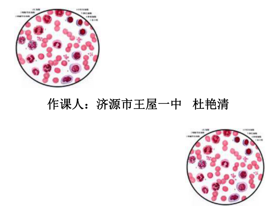 第一节　流动的组织──血液.ppt_第1页