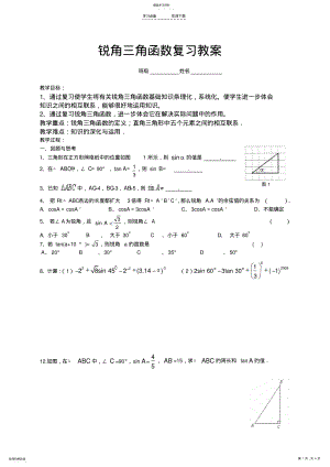 2022年锐角三角函数复习教案 .pdf