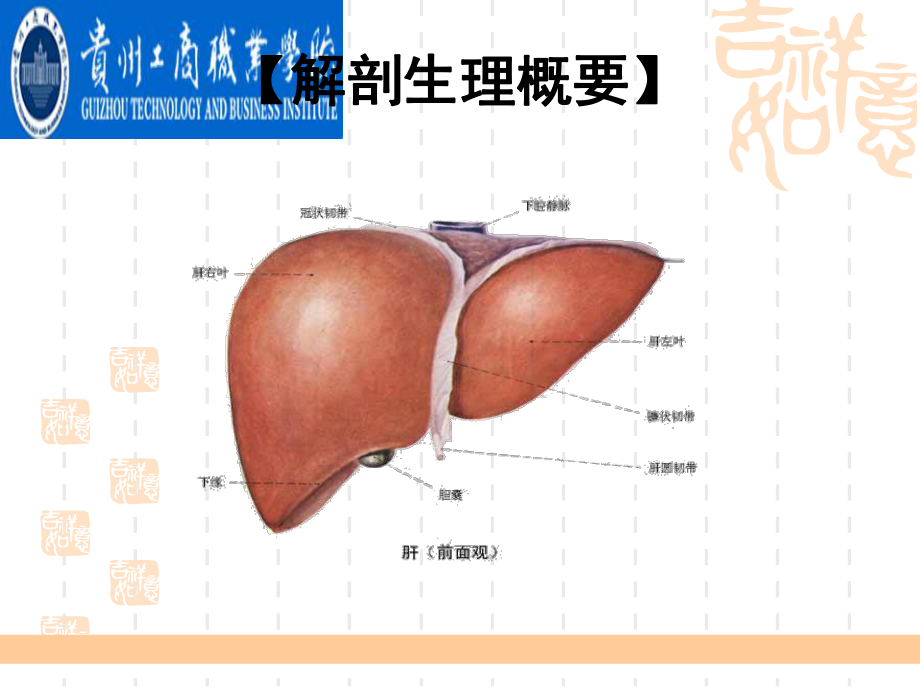 肝癌病人的护理ppt课件.ppt_第2页