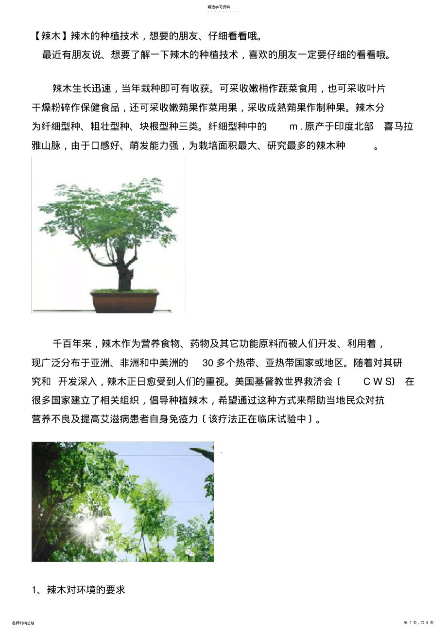 2022年辣木种植技术 .pdf_第1页