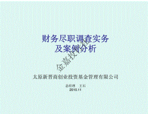 商业计划书和可行性报告 经典财务分析案例表格分析 财务尽职调查实务及案例分析.pdf