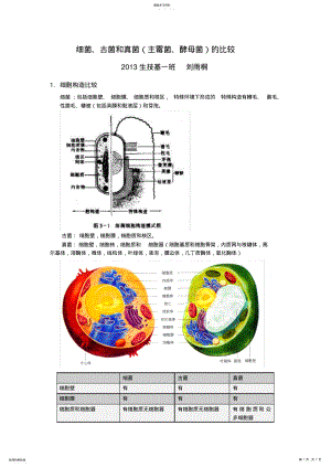 2022年细菌、古菌和真菌的比较 .pdf