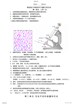 2022年青岛版六年级下册科学知识点总结 .pdf