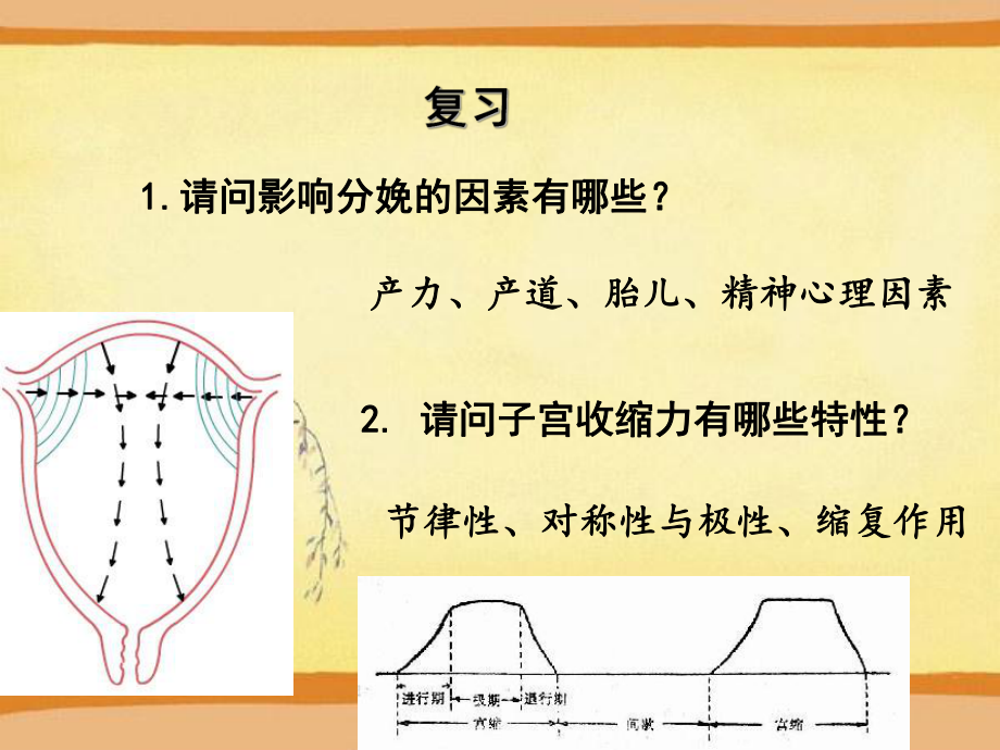 正常分娩分娩机制ppt课件.ppt_第2页