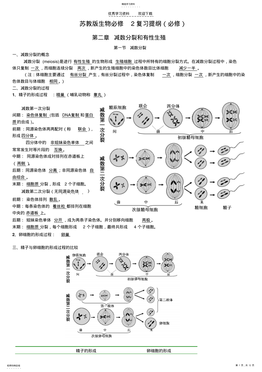 2022年苏教版生物必修二复习提纲 .pdf_第1页