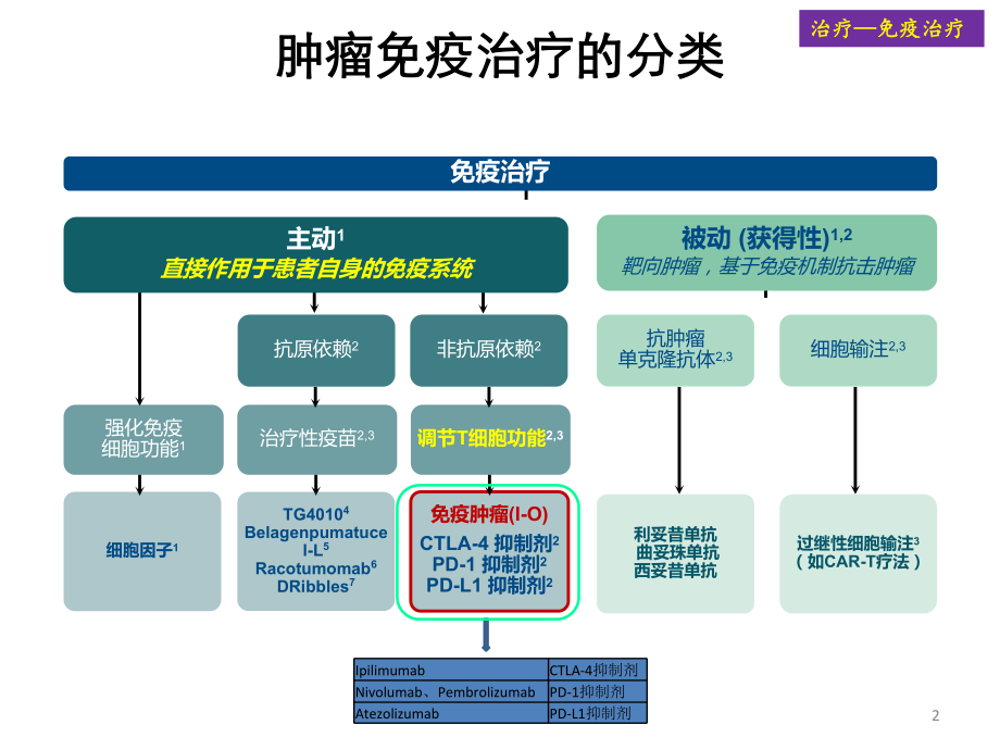 肺癌免疫治疗ppt课件.ppt_第2页