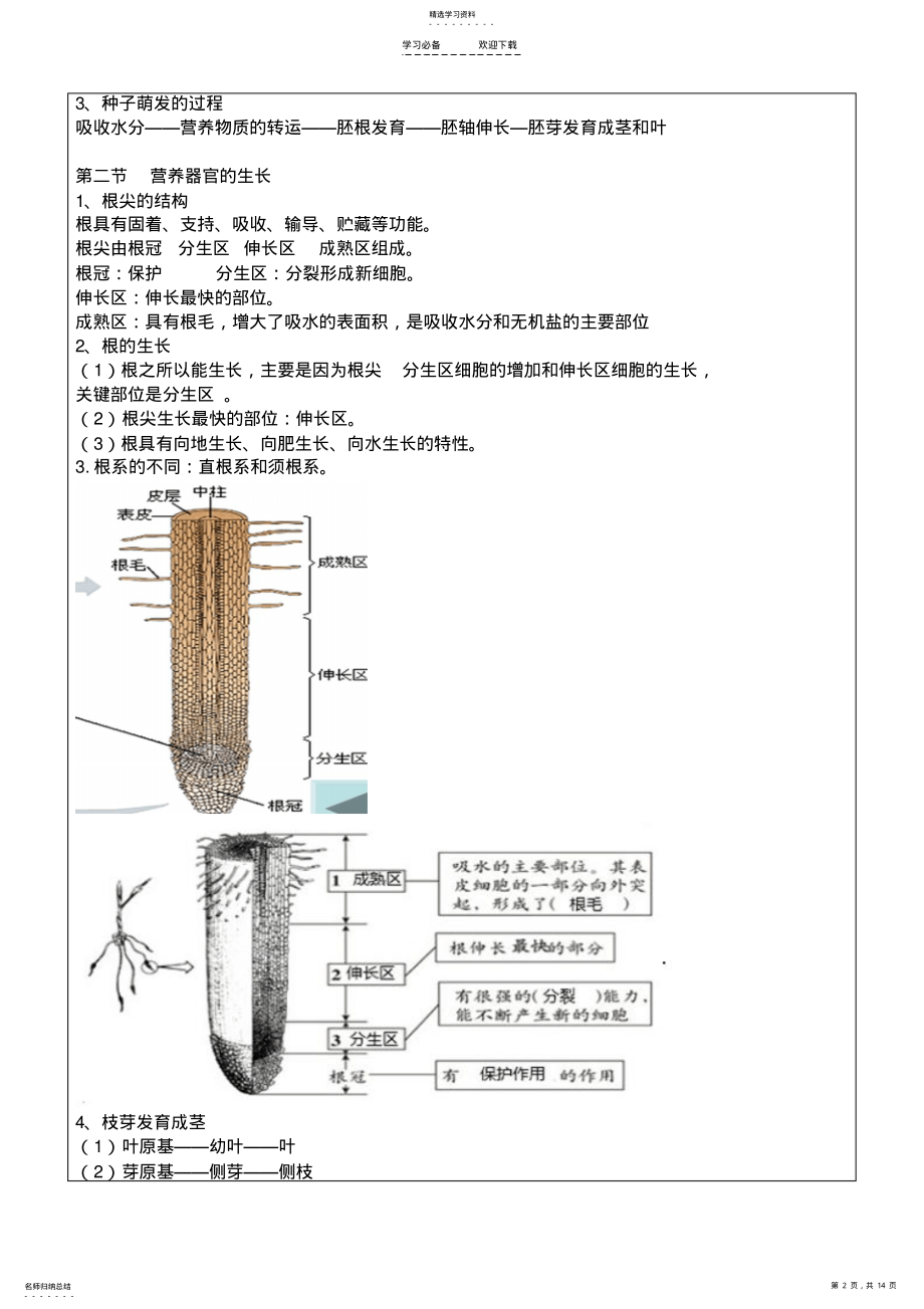 2022年绿色植物开花的生活史教案 .pdf_第2页