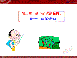 第一节--动物的运动ppt课件.ppt