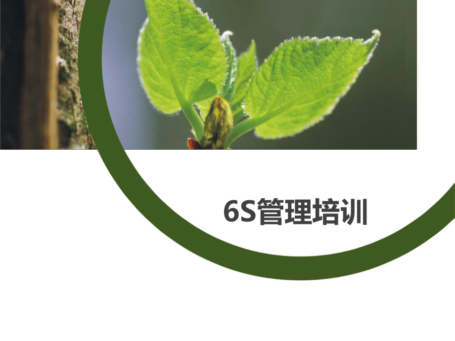 6S管理培训课程资料.ppt_第1页