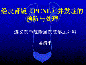 经皮肾镜取石术的并发症防治ppt课件.ppt