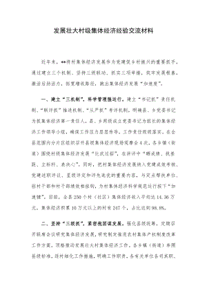 发展壮大村级集体经济经验交流材料.docx