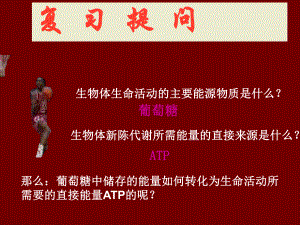 细胞呼吸(市优质课)ppt课件.ppt