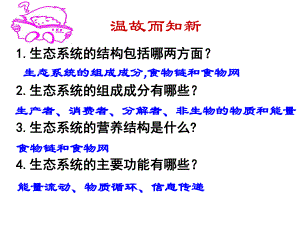 生态系统的能量流动ppt课件.ppt