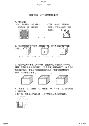 2022年小升初数学图形专题训练 .pdf