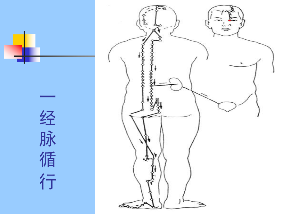 足太阳膀胱经ppt课件.ppt_第2页