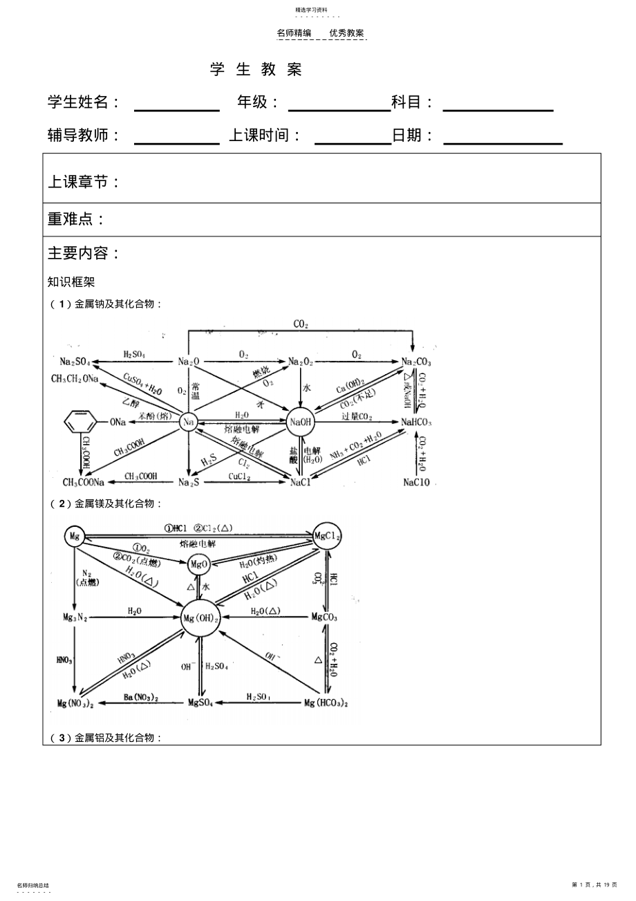 2022年金属及其化合物教案 .pdf_第1页