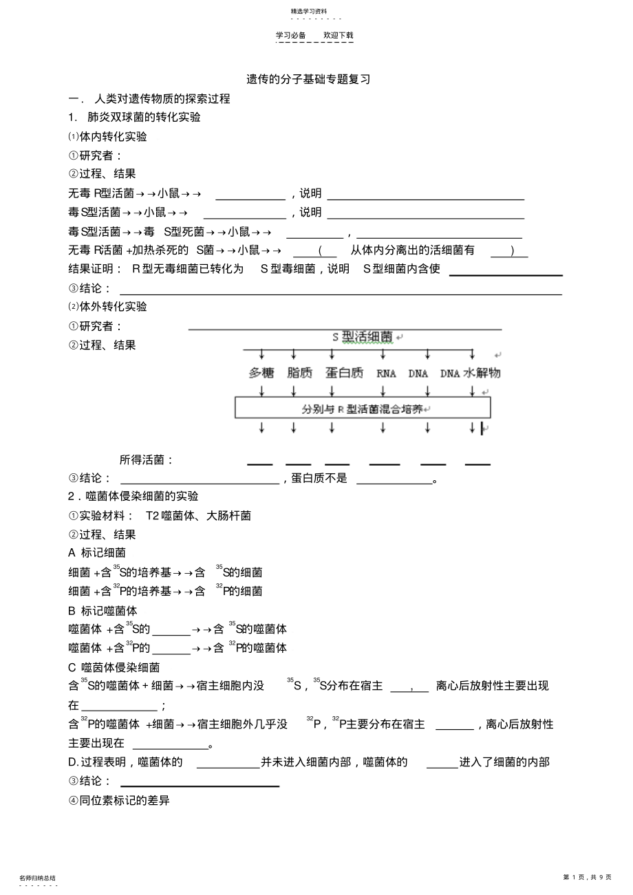 2022年遗传的分子基础专题复习 .pdf_第1页