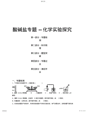 2022年初中酸碱盐专题：化学实验探究 .pdf