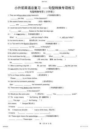 2022年小升初英语总复习-----句型转换专项练习 .pdf