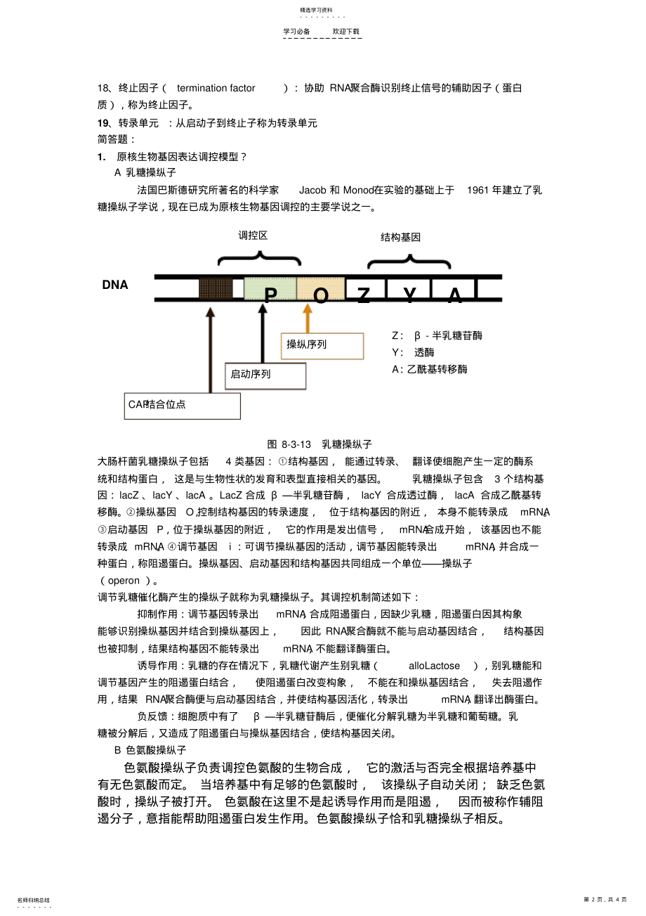 2022年分子生物学重要知识点 .pdf_第2页