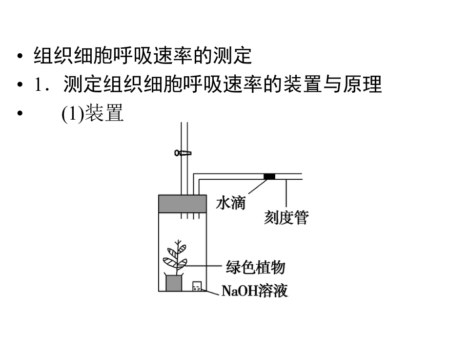 一轮复习《细胞呼吸》ppt课件.ppt_第2页