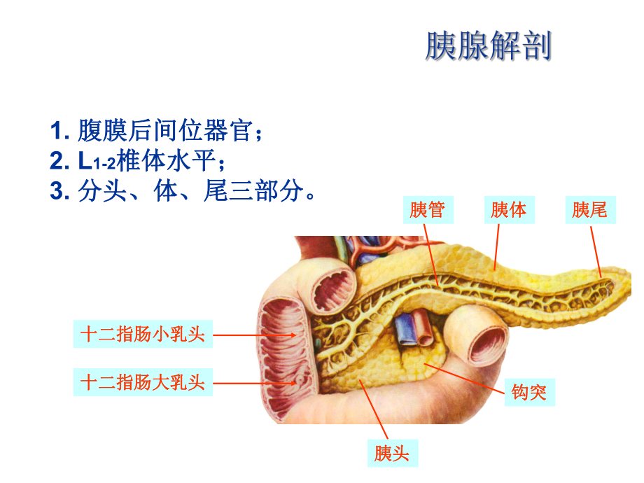 胰腺癌的影像诊断PPT课件.ppt_第2页