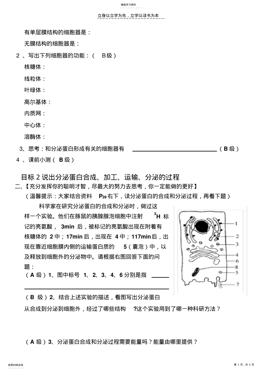 2022年分泌蛋白的合成和运输学案 .pdf_第2页