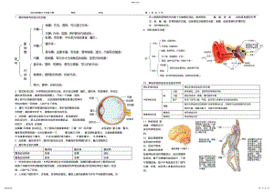 2022年初中生物复习七年级下册知识点总结 2.pdf