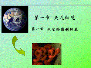 高中生物必修一第一章第一节《从生物圈到细胞》ppt课件.ppt