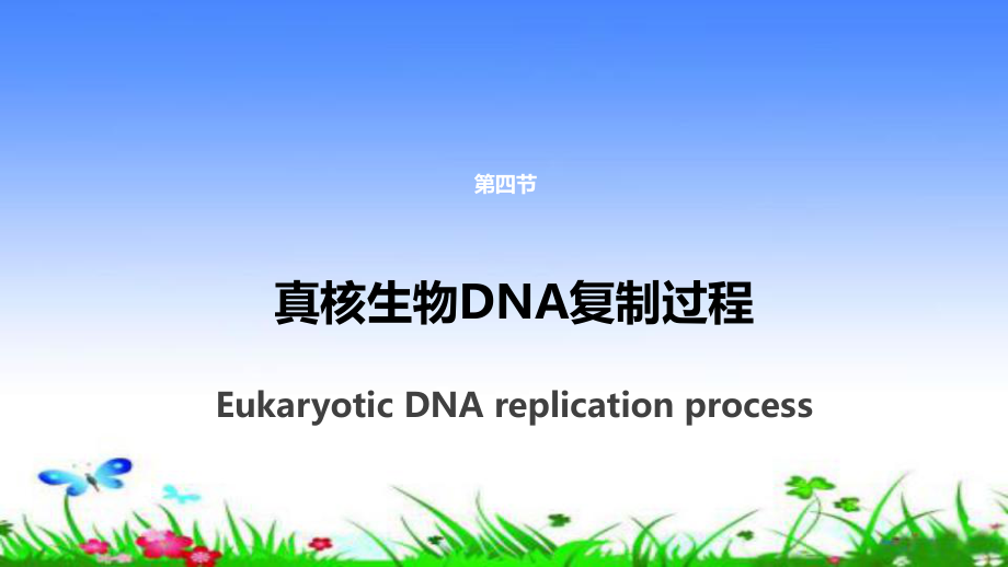 真核生物DNA复制过程ppt课件.pptx_第1页