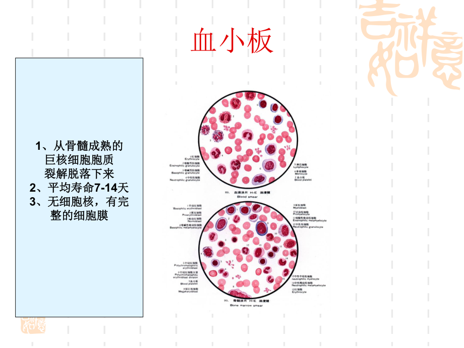 血栓形成过程ppt课件.ppt_第2页