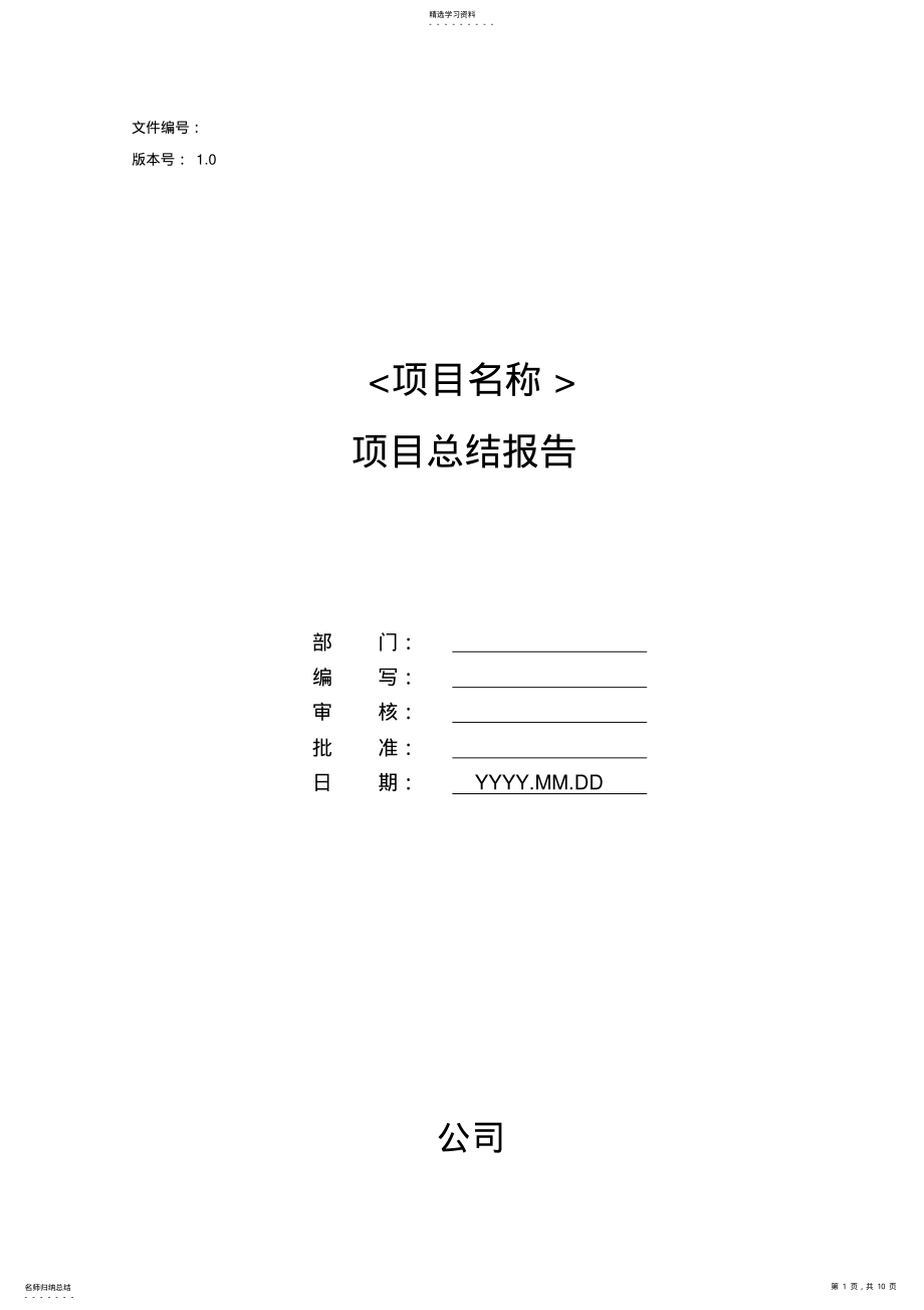 2022年项目总结报告模板 .pdf_第1页