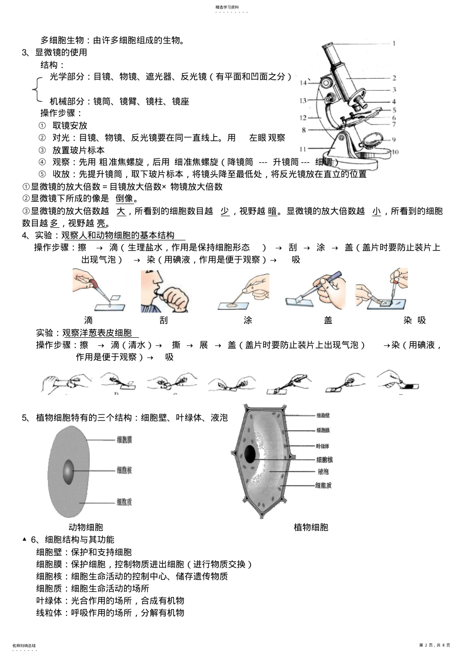 2022年北师大版七年级上册生物复习资料 .pdf_第2页