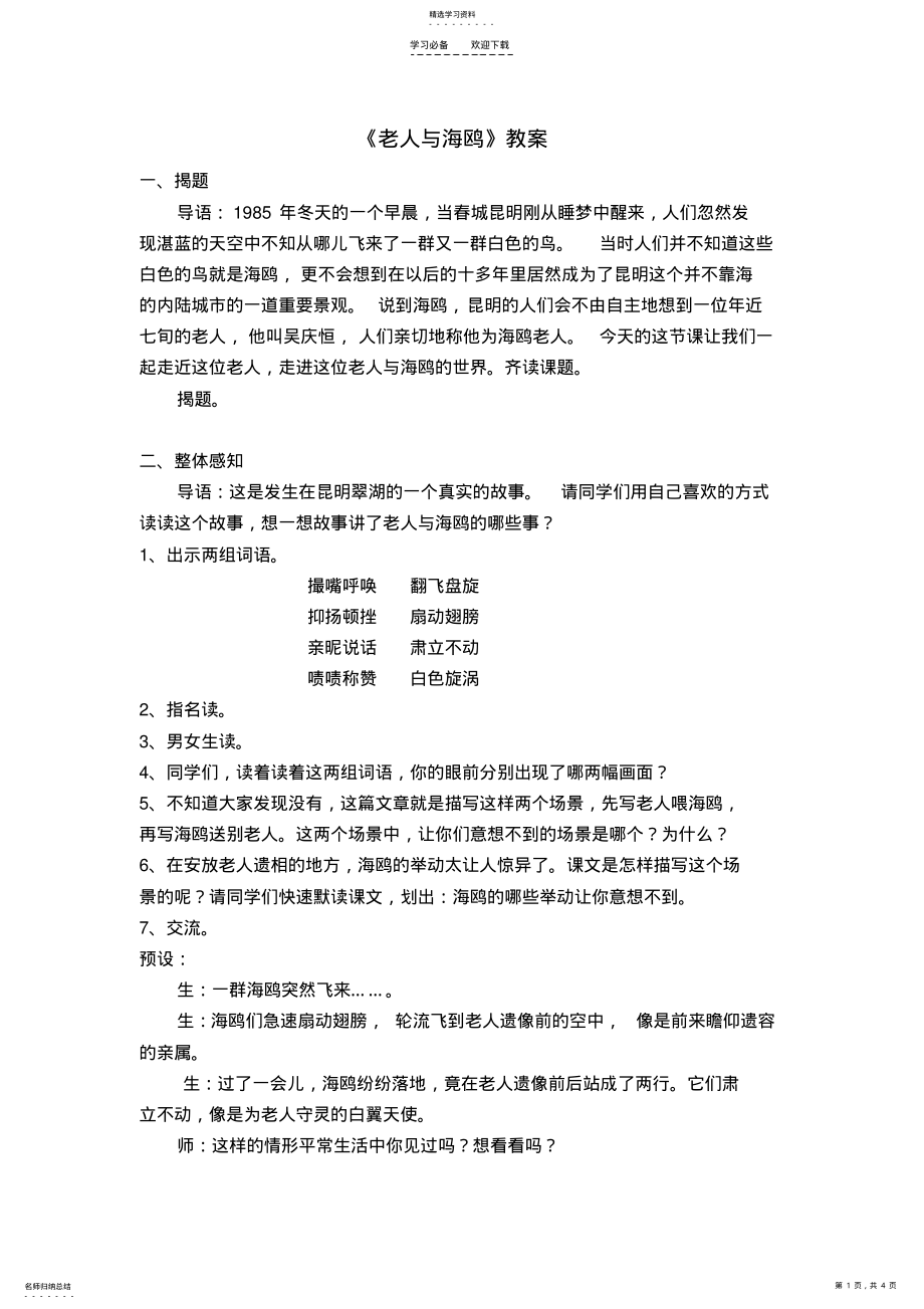 2022年老人与海鸥教案 .pdf_第1页