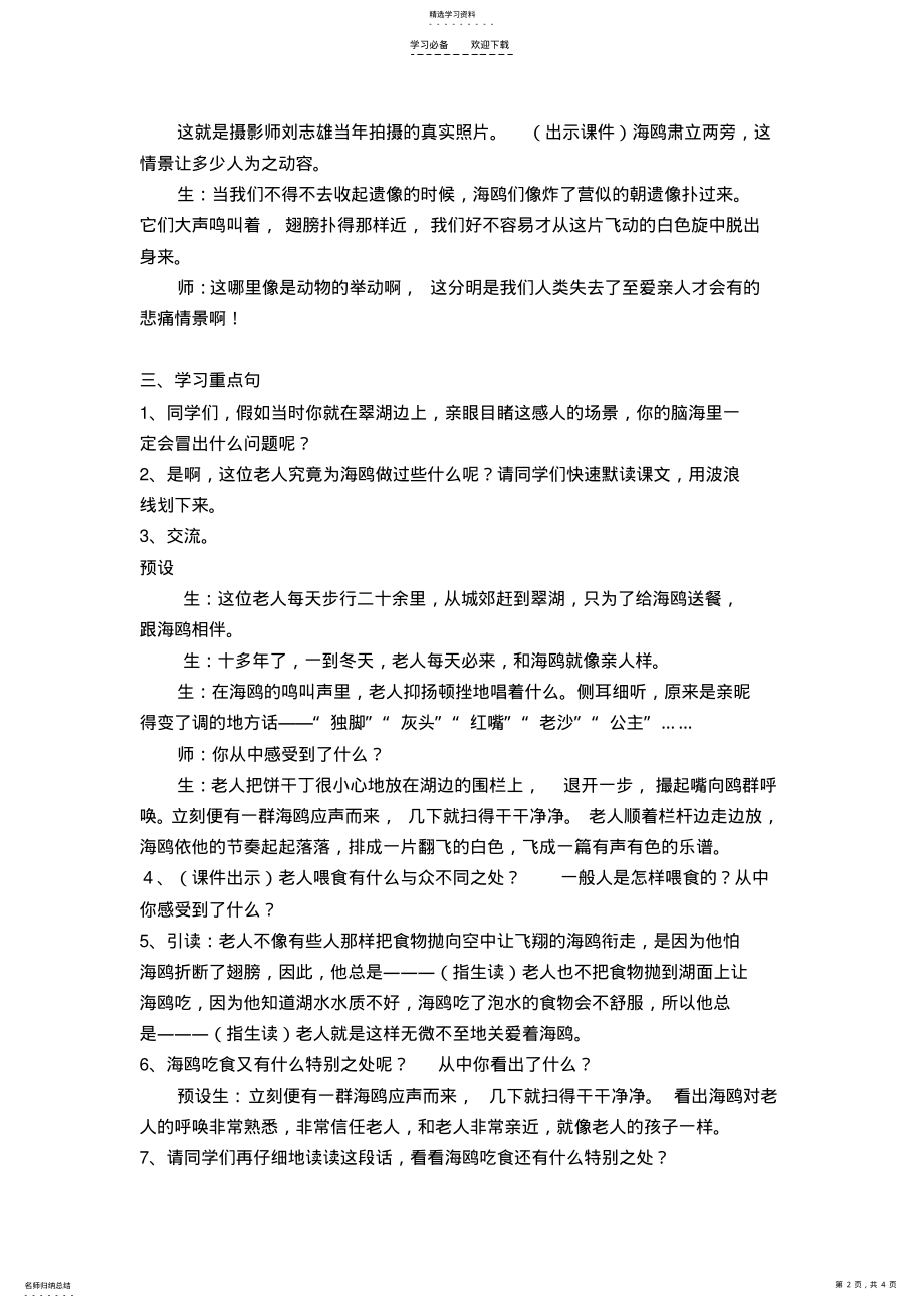 2022年老人与海鸥教案 .pdf_第2页