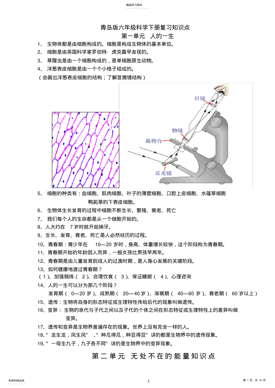 2022年青岛版六年级下册科学知识点总结 2.pdf_第1页