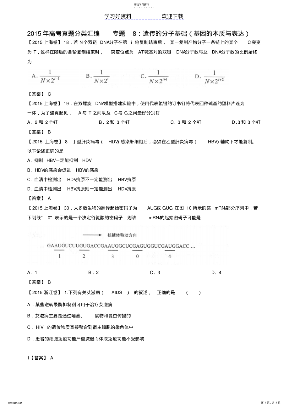 2022年高考真题分类汇编专题遗传的分子基础 .pdf_第1页