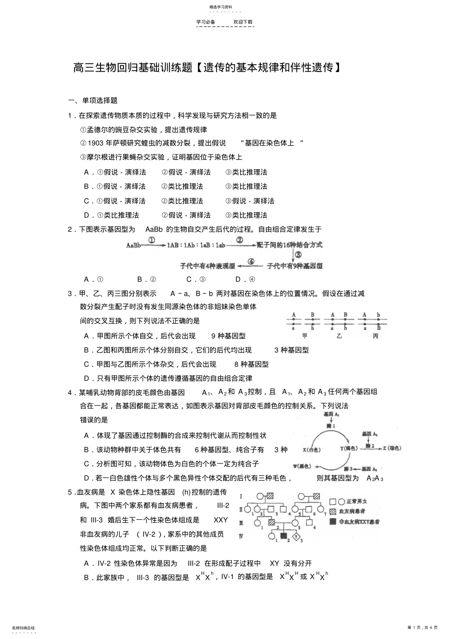 2022年高三生物回归基础训练题【遗传的基本规律和伴性遗传】 .pdf_第1页