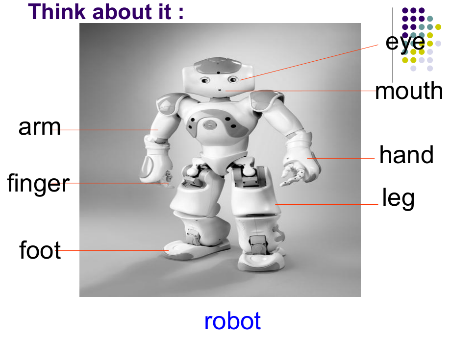 冀教版七年级上册lesson13.ppt_第1页