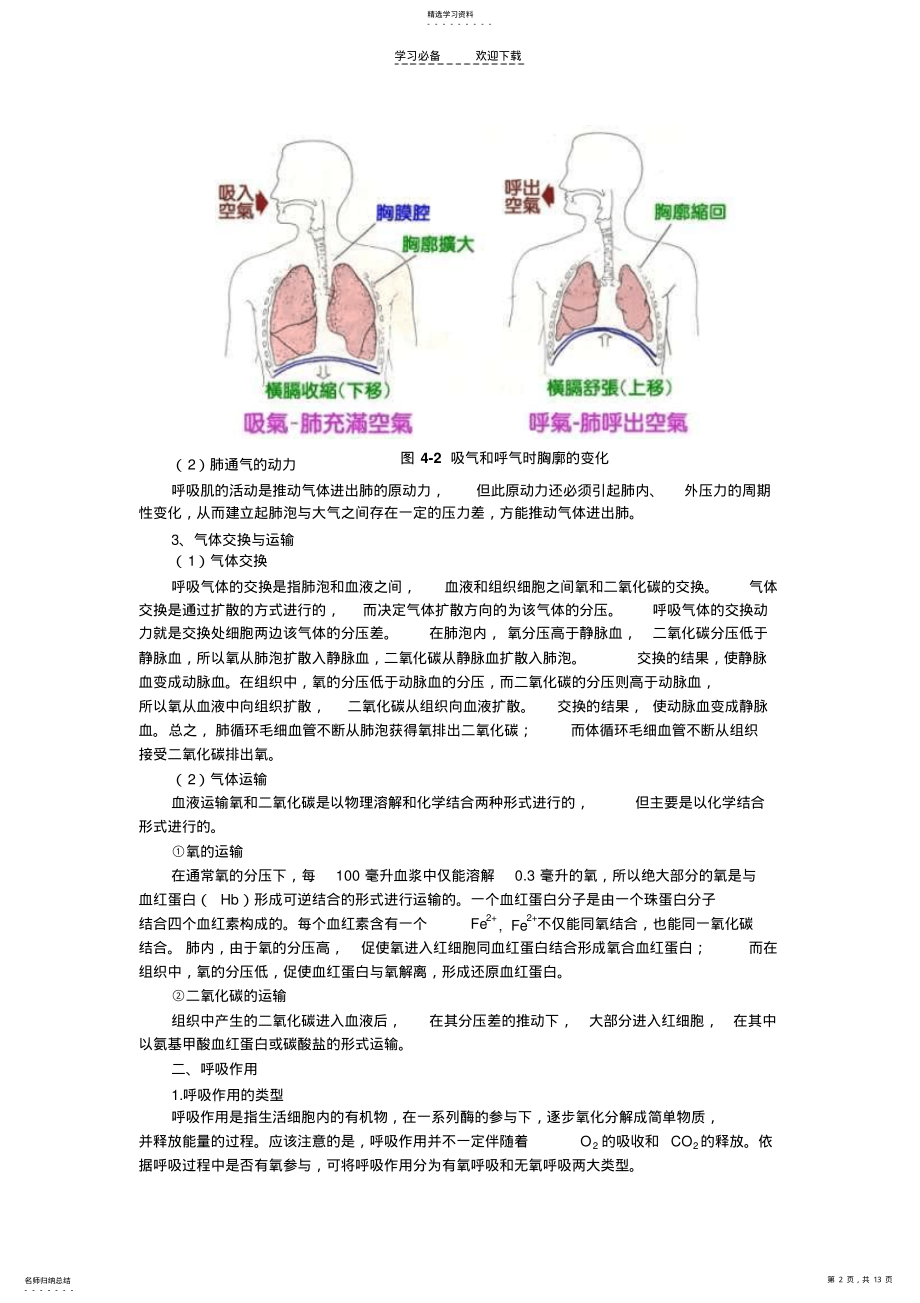 2022年高中生物奥林匹克竞赛辅导呼吸作用习题 .pdf_第2页