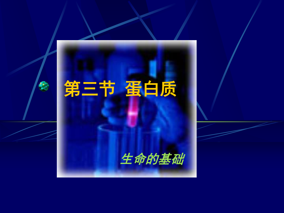 第三节蛋白质.ppt_第2页