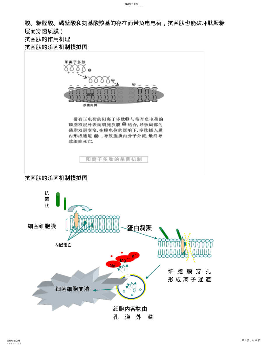 抗菌肽及其在饲料中应用 .pdf_第2页